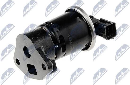 EGR Valve EGR-DW-001