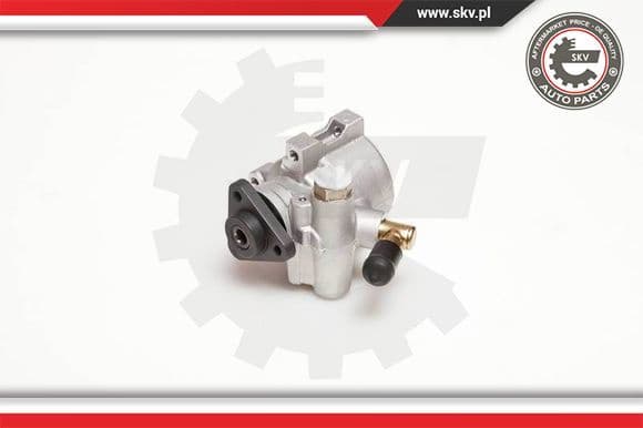 Hydraulic Pump, steering 10SKV053