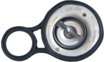 Thermostat, coolant EASY FIT 725094