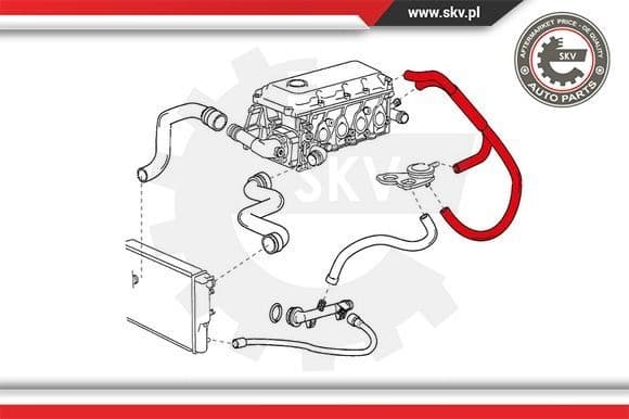 Hose, crankcase ventilation 31SKV048 - image 4