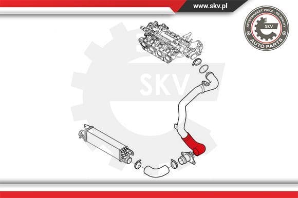 Charge Air Hose 24SKV901 - image 4