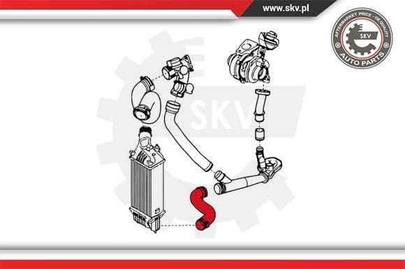 Charge Air Hose 24SKV841 - image 4