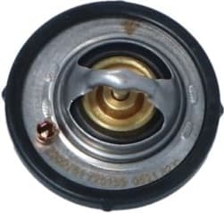 Thermostat, coolant EASY FIT 725159