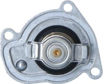 Thermostat, coolant EASY FIT 725008