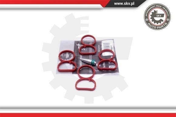 Repair Kit, intake manifold module 49SKV513