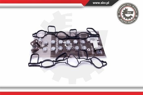 Repair Kit, intake manifold module 49SKV523