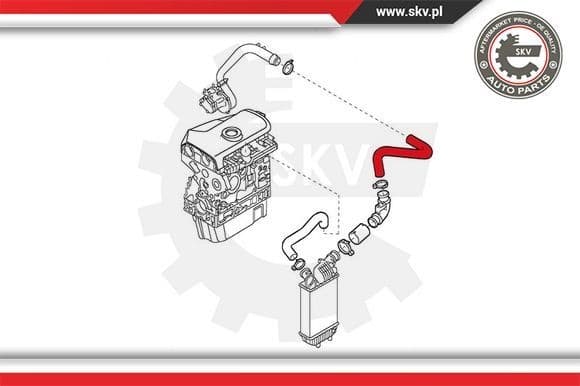 Charge Air Hose 43SKV065 - image 4