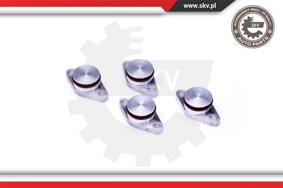 Repair Kit, intake manifold module 49SKV544 - image 2