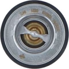 Thermostat, coolant EASY FIT 725213