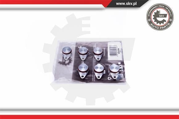 Repair Kit, intake manifold module 49SKV545