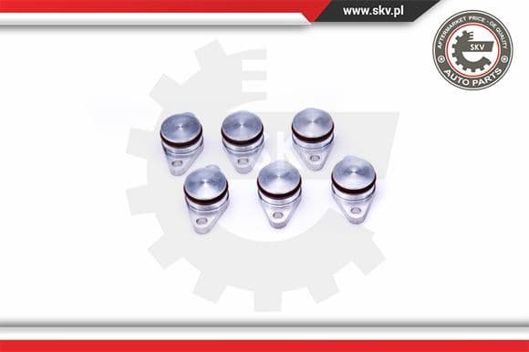 Repair Kit, intake manifold module 49SKV545 - image 2