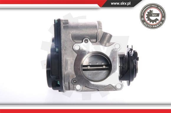 Throttle Body 12SKV024