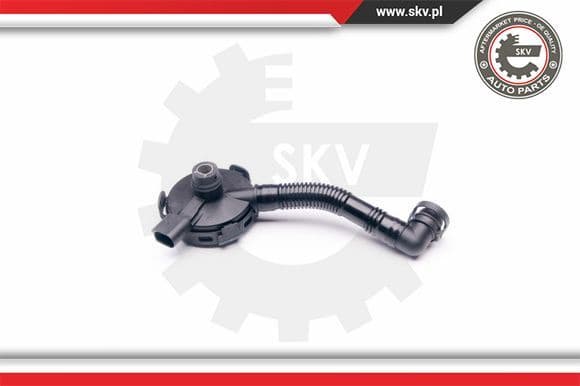Valve, crankcase ventilation 31SKV020