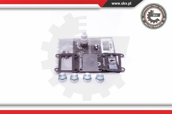Repair Kit, intake manifold module 49SKV527