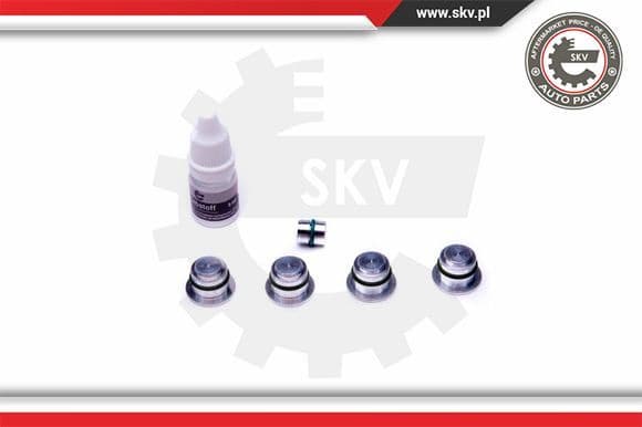 Repair Kit, intake manifold module 49SKV530 - image 2