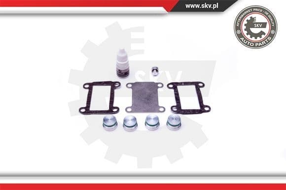 Repair Kit, intake manifold module 49SKV527 - image 2