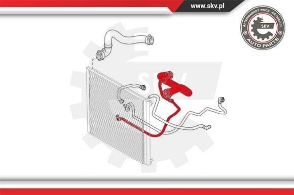 Radiator Hose 43SKV725 - image 4