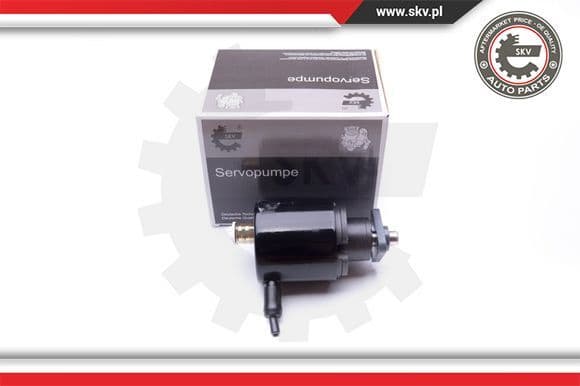 Hydraulic Pump, steering 10SKV280