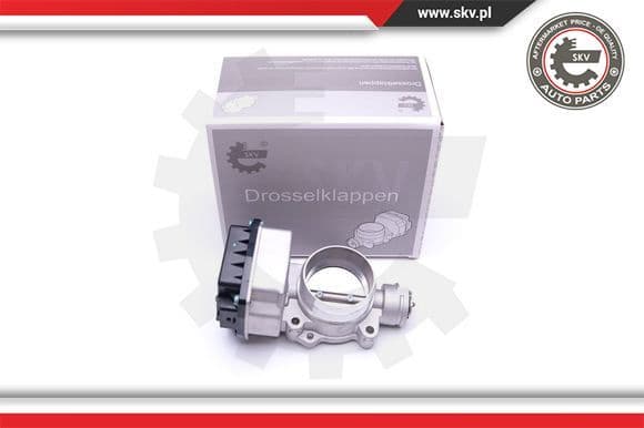 Throttle Body 12SKV072