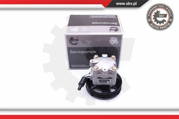 Hydraulic Pump, steering 10SKV277