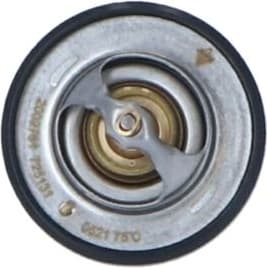 Thermostat, coolant EASY FIT 725131