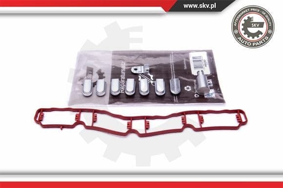 Repair Kit, intake manifold module 49SKV521