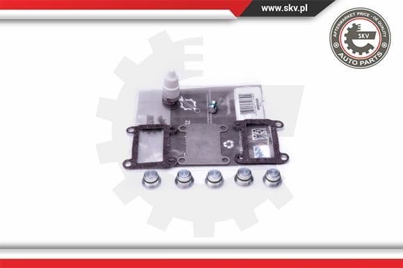 Repair Kit, intake manifold module 49SKV526