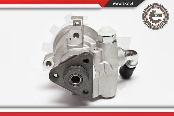 Hydraulic Pump, steering 10SKV071
