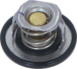 Thermostat, coolant EASY FIT 725080
