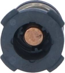 Thermostat, coolant 725225