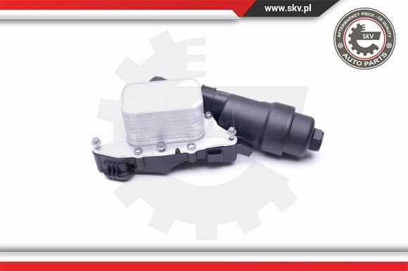 Oil Cooler, engine oil 31SKV165