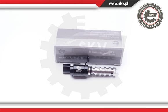Control Valve, camshaft adjustment 39SKV019