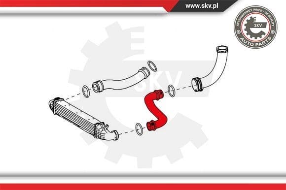 Charge Air Hose 24SKV634 - image 4