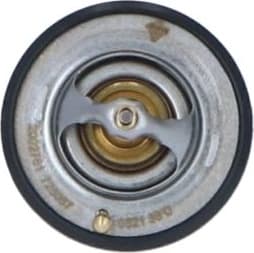 Thermostat, coolant EASY FIT 725087