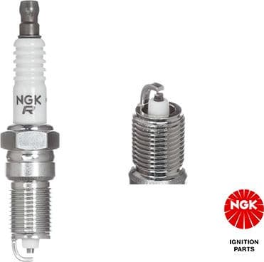 Spark Plug TR55