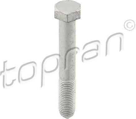 Screw 116 940