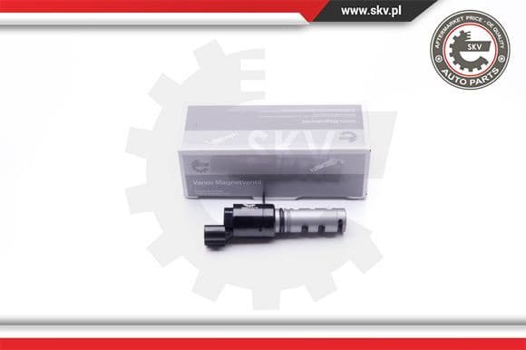 Control Valve, camshaft adjustment 39SKV018