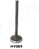 Exhaust Valve 15HY001