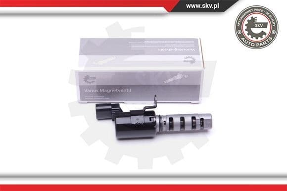 Control Valve, camshaft adjustment 39SKV066