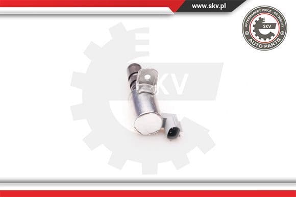Control Valve, camshaft adjustment 39SKV006