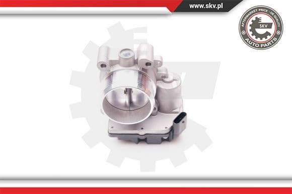 Throttle Body 12SKV060