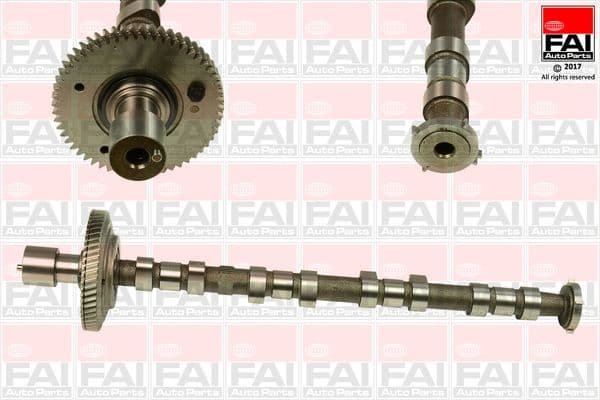 Camshaft C308