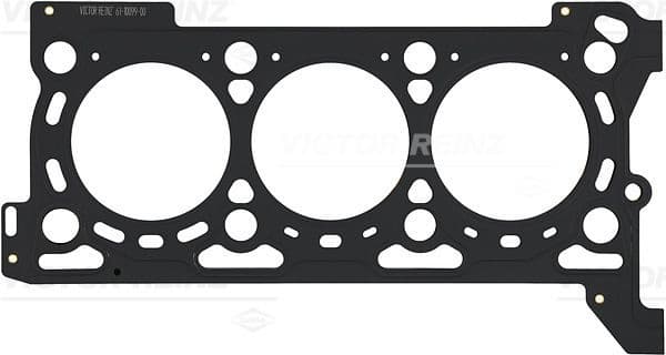 Gasket, cylinder head 61-10099-00