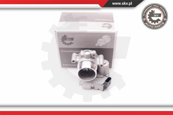 Throttle Body 12SKV063