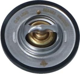 Thermostat, coolant EASY FIT 725183
