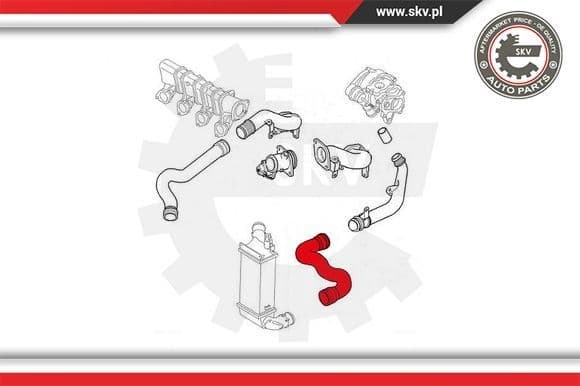 Charge Air Hose 43SKV030 - image 4