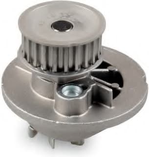Water Pump, engine cooling P324