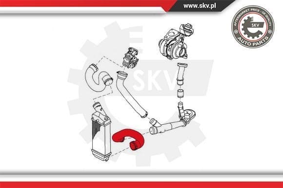 Charge Air Hose 43SKV003 - image 4