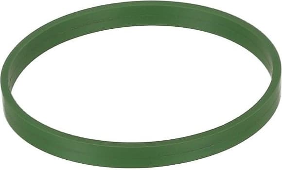 Gasket, intake manifold housing 590.300