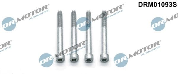 Screw, injection nozzle holder DRM01093S